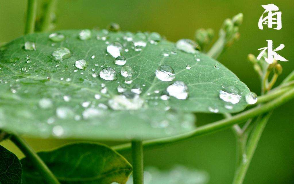 雨水！